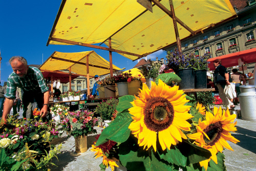 bern, market, switzerland, flowers, aavtravel