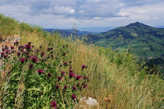 ebenalp, appenzell, alpstein, aavtravel, switzerland
