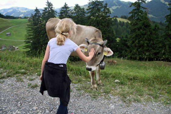 ebenalp, appenzell, alpstein, aavtravel, switzerland, cow