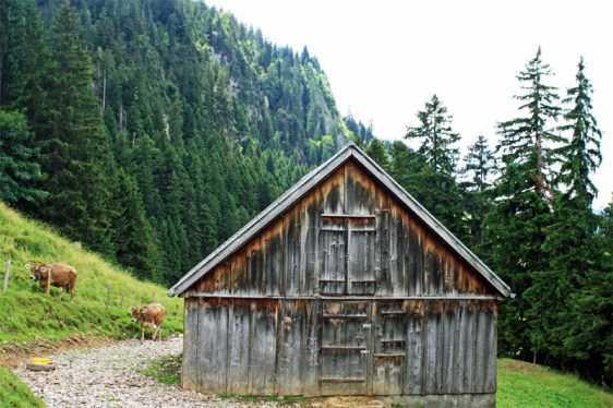 ebenalp, appenzell, alpstein, aavtravel, switzerland