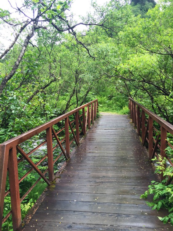 perseverance trail, juneau, alaska, aavtravel