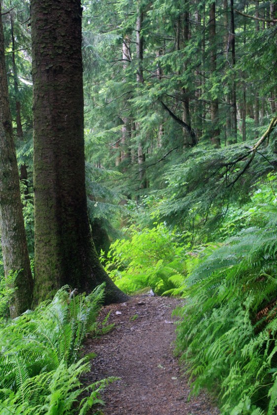 ketchikan, rainbird trail, alaska, hiking, aavtravel