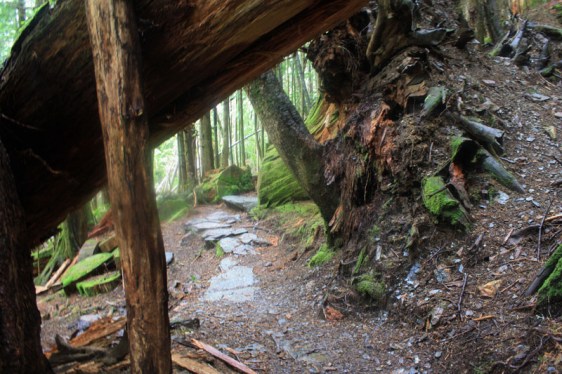 ketchikan, rainbird trail, alaska, hiking, aavtravel