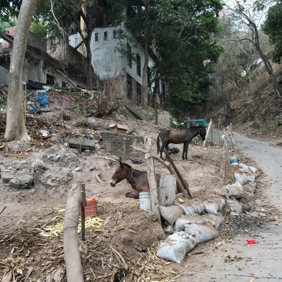 Photo Jun 10, 12 18 03 PM