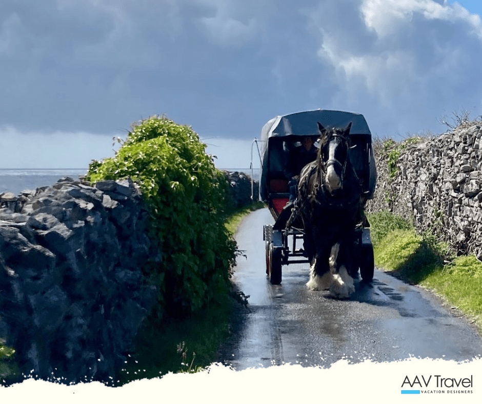 A traditional horse-drawn carriage travels along a stone-walled lane on Inis Mór, with open fields and sea views in the distance.