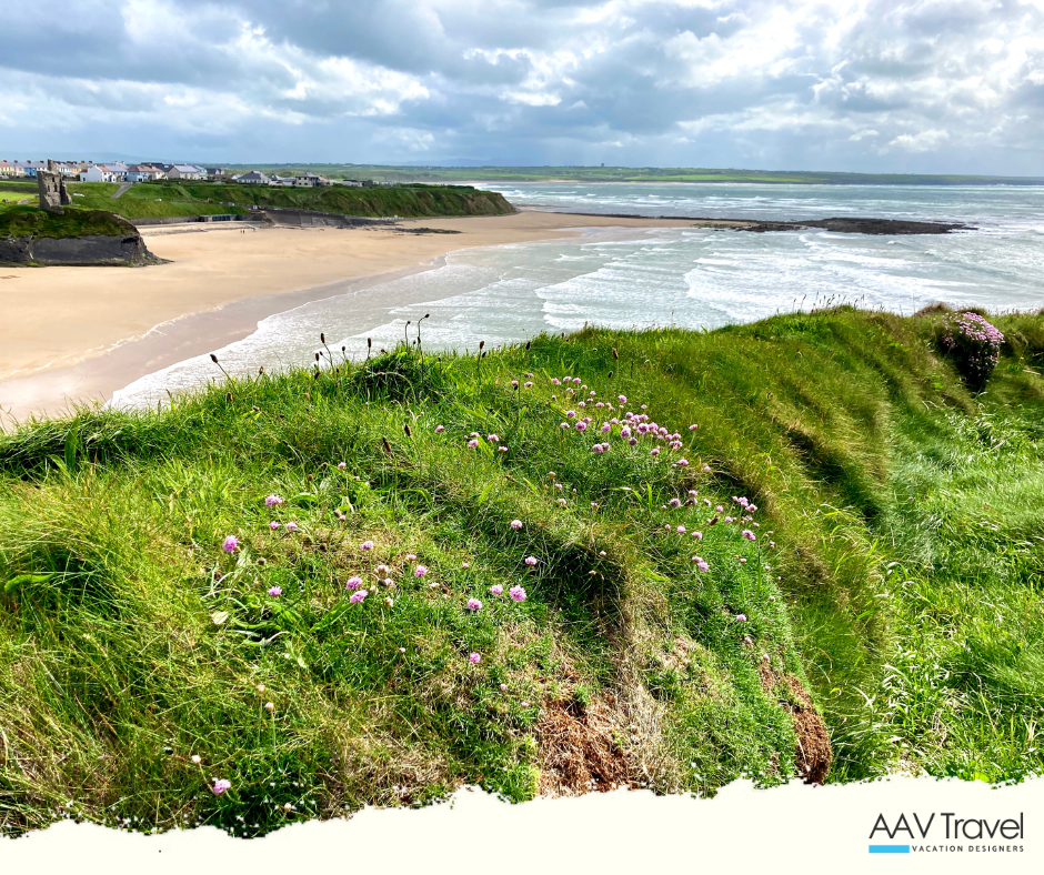 Windblown grasses sway atop cliffs overlooking the golden sands of Ballybunion Beach and the churning Atlantic Ocean.