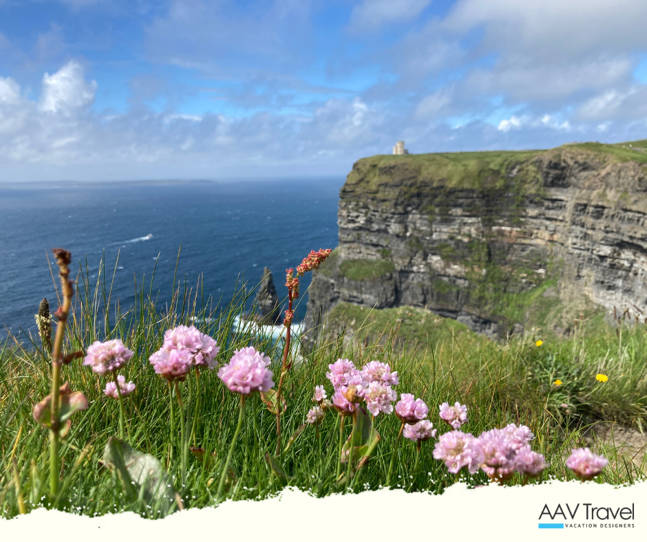 Wildflowers bloom brightly at the edge of the Cliffs of Moher, with the dramatic cliff face dropping into the Atlantic Ocean beyond.