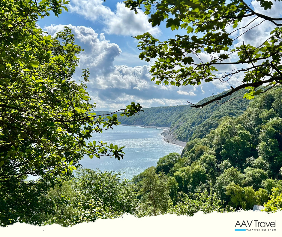 Lush green cliffs surrounding Clovelly’s coastline, with the sea shimmering below